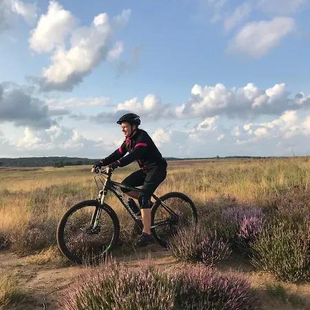 Op De Veluwe # Berk Chalet Putten