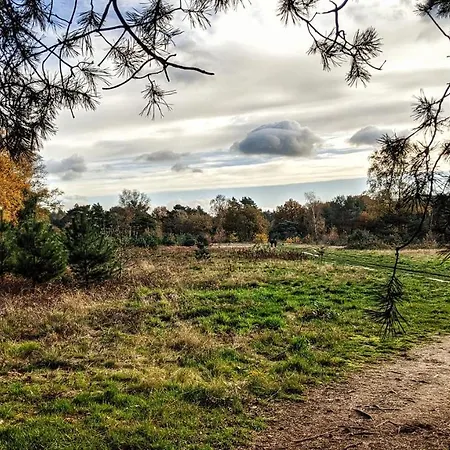 Chalet Op De Veluwe # Berk Putten