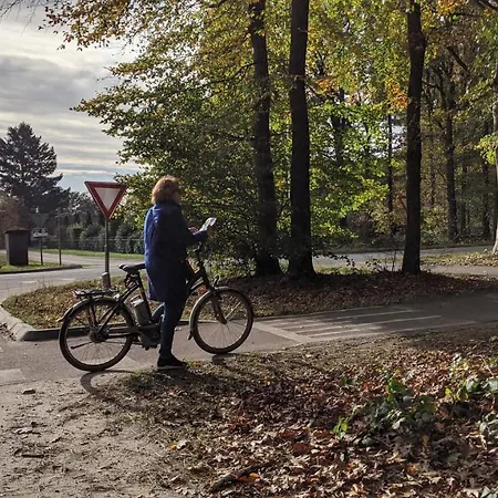 Op De Veluwe # Berk Chalet Putten