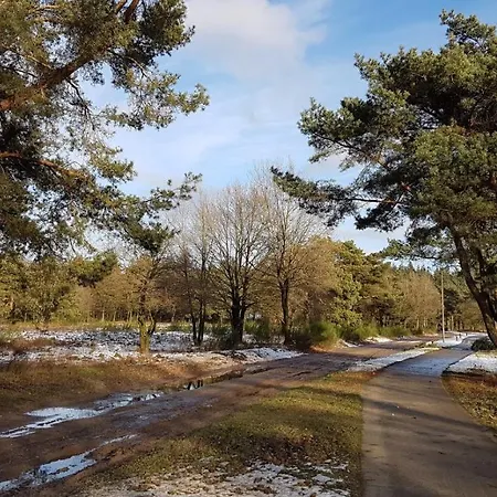 Op De Veluwe # Berk Chalet Putten