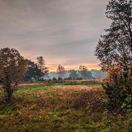 Op De Veluwe # Berk Chalet