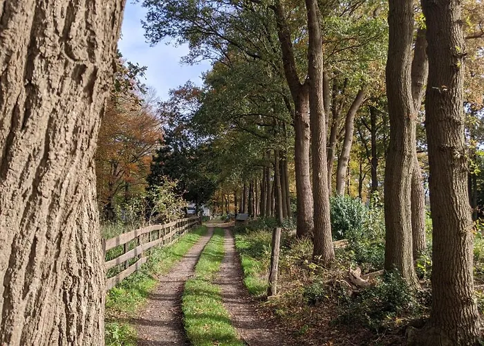 Alpesi faház Op De Veluwe # Berk *