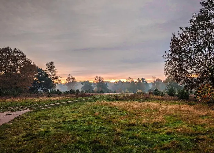 Op De Veluwe # Berk Putten