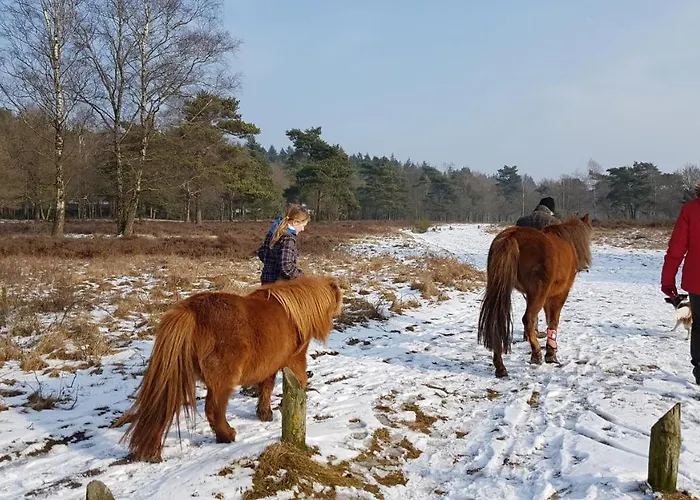 Alpesi faház Op De Veluwe # Berk Putten