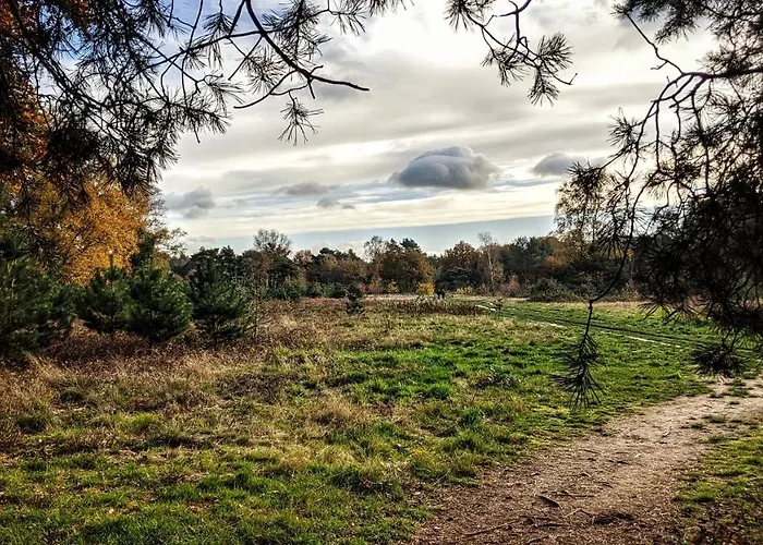 Alpesi faház Op De Veluwe # Berk Putten