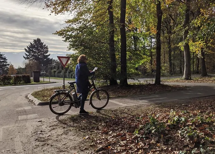 Op De Veluwe # Berk Chalet Putten