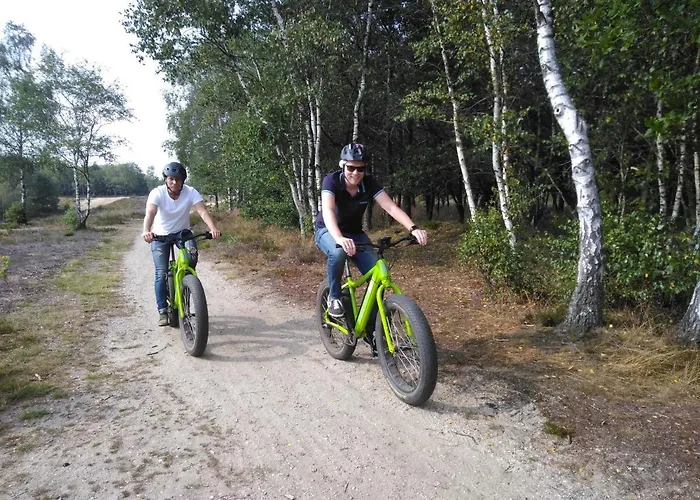 Op De Veluwe # Berk Alpesi faház Putten
