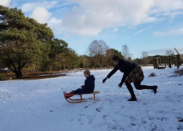 Alpesi faház Op De Veluwe # Berk *