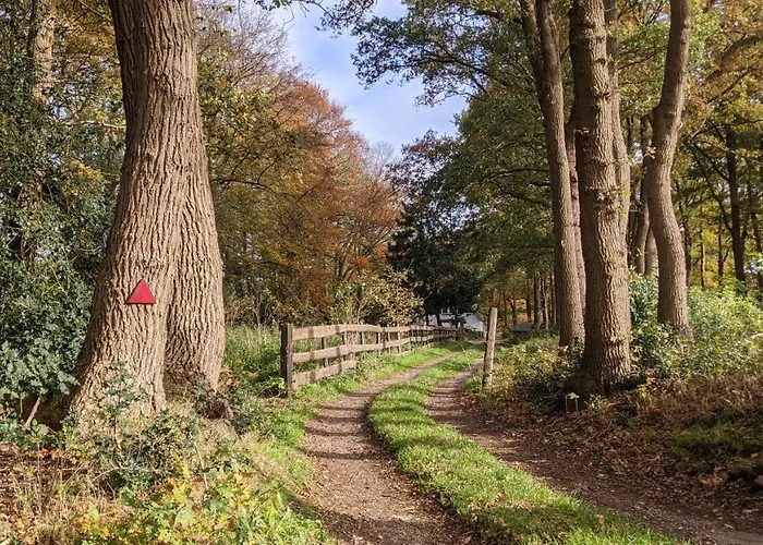 Op De Veluwe # Berk Alpesi faház Putten