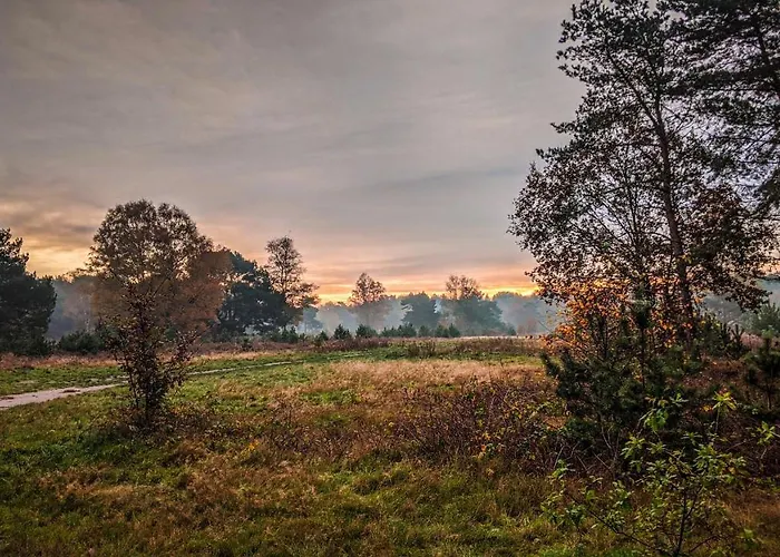 Op De Veluwe # Berk Alpesi faház