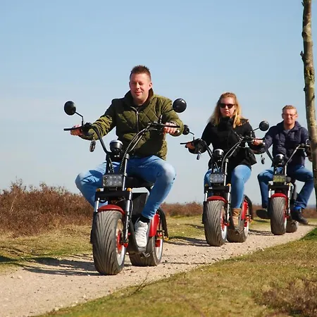 Op De Veluwe # Berk 푸텐