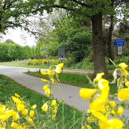 Op De Veluwe # Berk 샬레 *