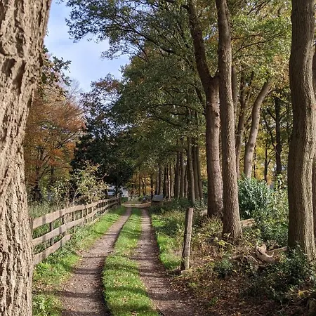 샬레 Op De Veluwe # Berk *