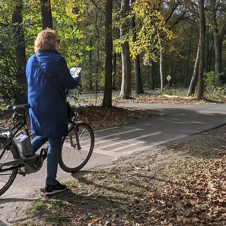 샬레 Op De Veluwe # Berk