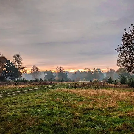 Op De Veluwe # Berk 푸텐