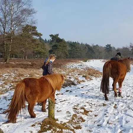 샬레 Op De Veluwe # Berk 푸텐