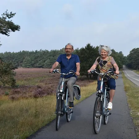 Op De Veluwe # Berk