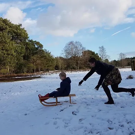 샬레 Op De Veluwe # Berk *