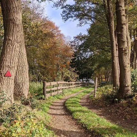Op De Veluwe # Berk 샬레 푸텐
