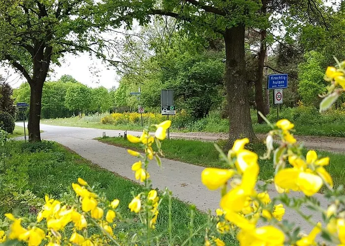 Op De Veluwe # Berk Шале *