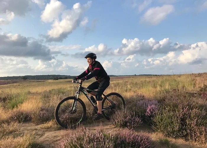 Op De Veluwe # Berk Шале Пюттен