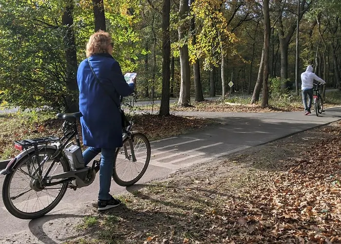 Шале Op De Veluwe # Berk