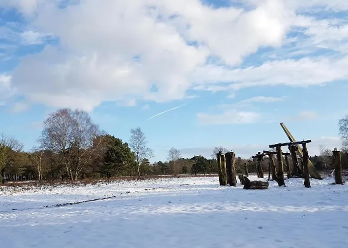 Op De Veluwe # Berk Пюттен