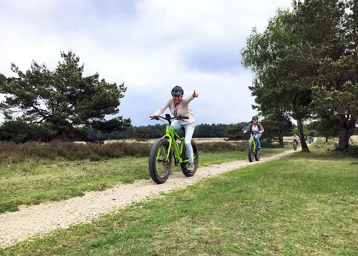 Op De Veluwe # Berk Шале Пюттен