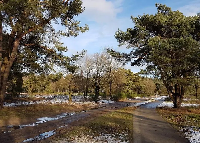 Op De Veluwe # Berk Шале Пюттен